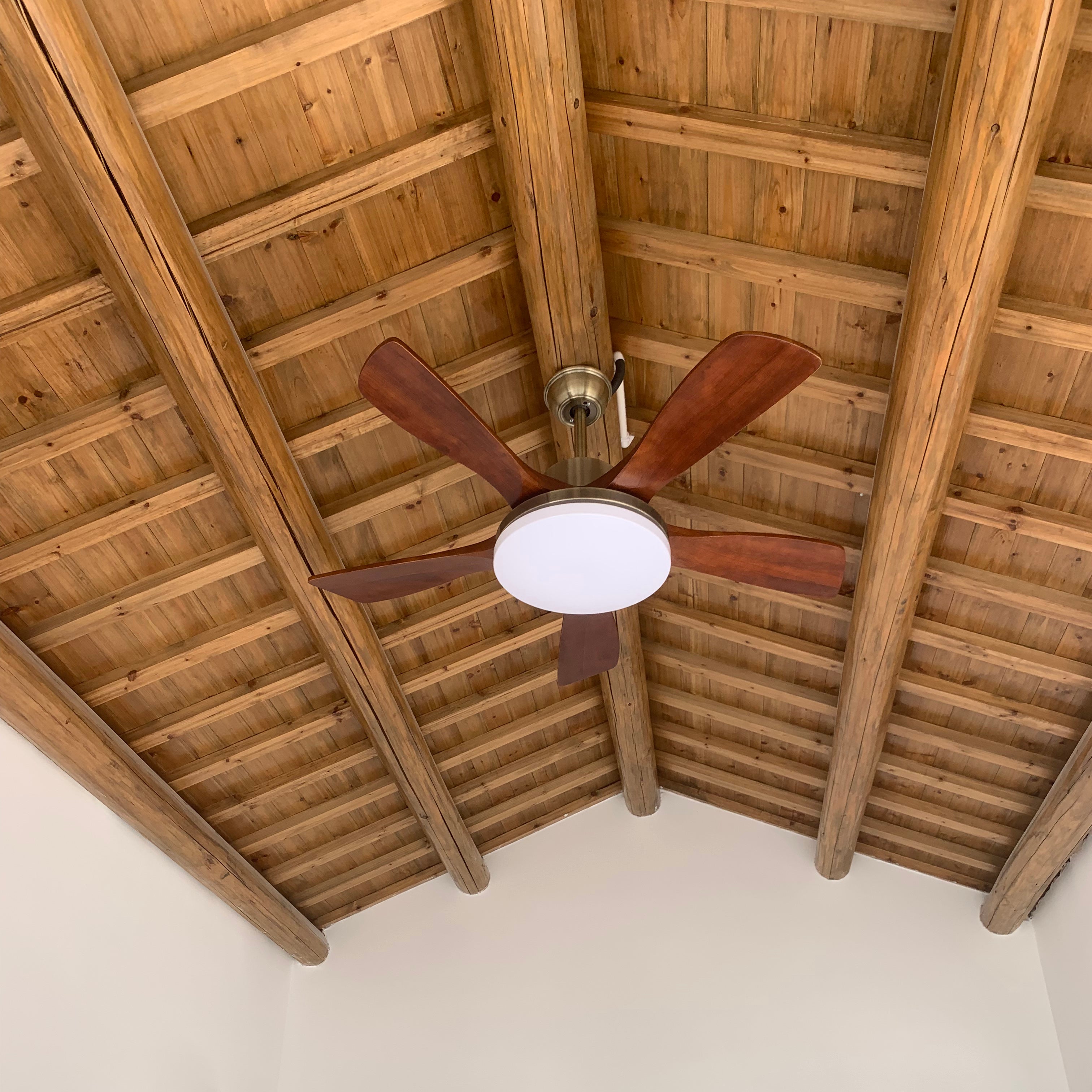 60 Inch Five Walnut Blade Quiet Ceiling Fan with Dimmable Light - Timberline