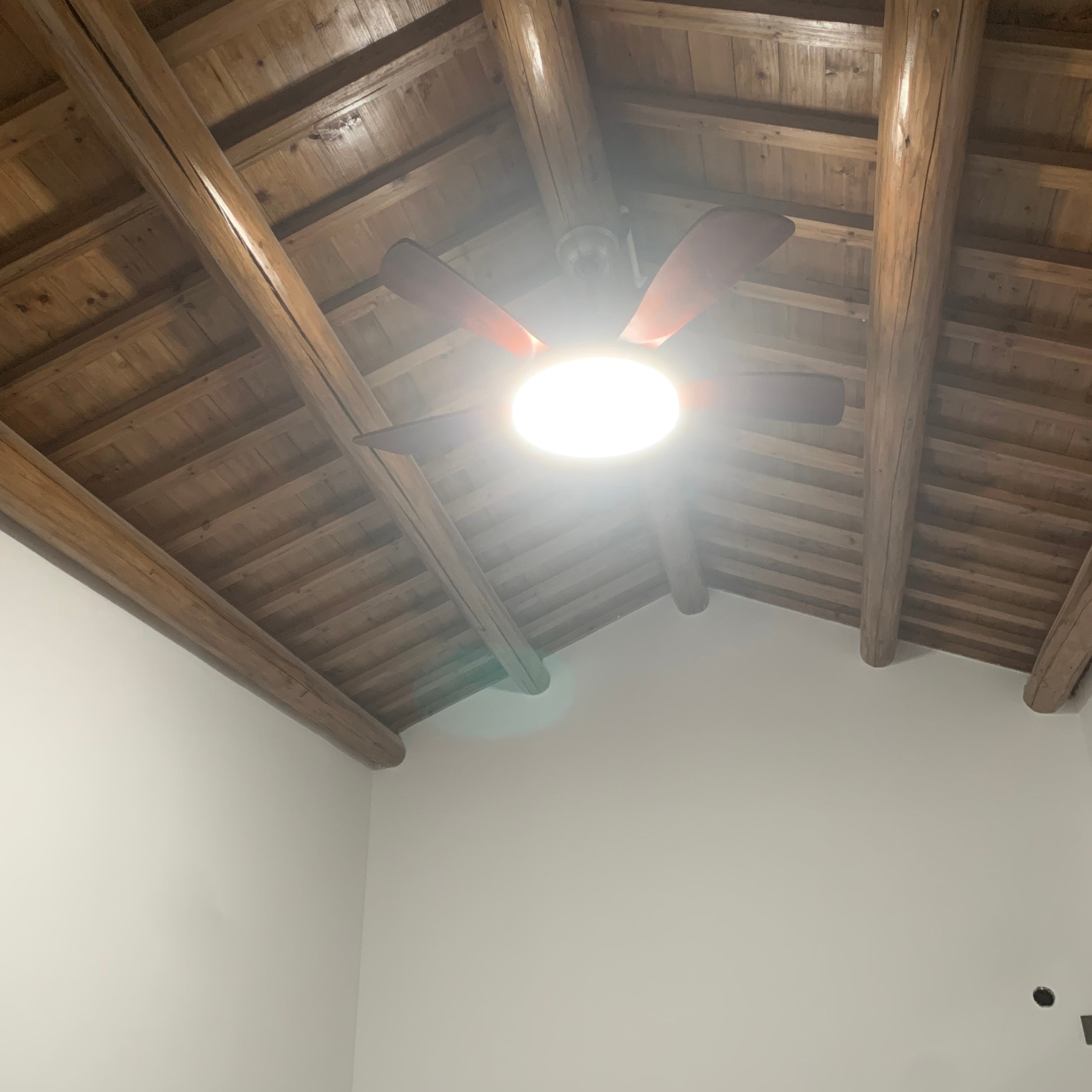 60 Inch Five Walnut Blade Quiet Ceiling Fan with Dimmable Light - Timberline