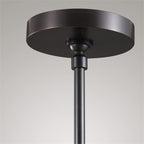 5 Inch Raindrop Glass Rod Pendant Light – Lachryma