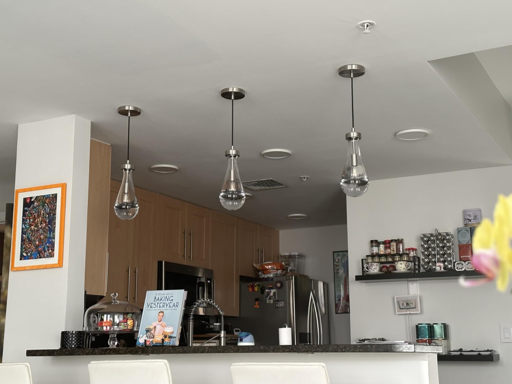 5 Inch Raindrop Glass Cord Pendant Light – Lachryma