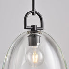 11 Inch Dome Crystal Globe Bulb Pendant Light - Botanist