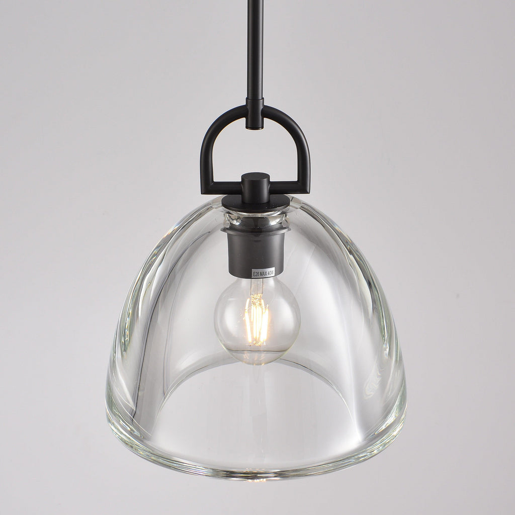 11 Inch Dome Crystal Globe Bulb Pendant Light - Botanist