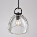 11 Inch Dome Crystal Globe Bulb Pendant Light - Botanist