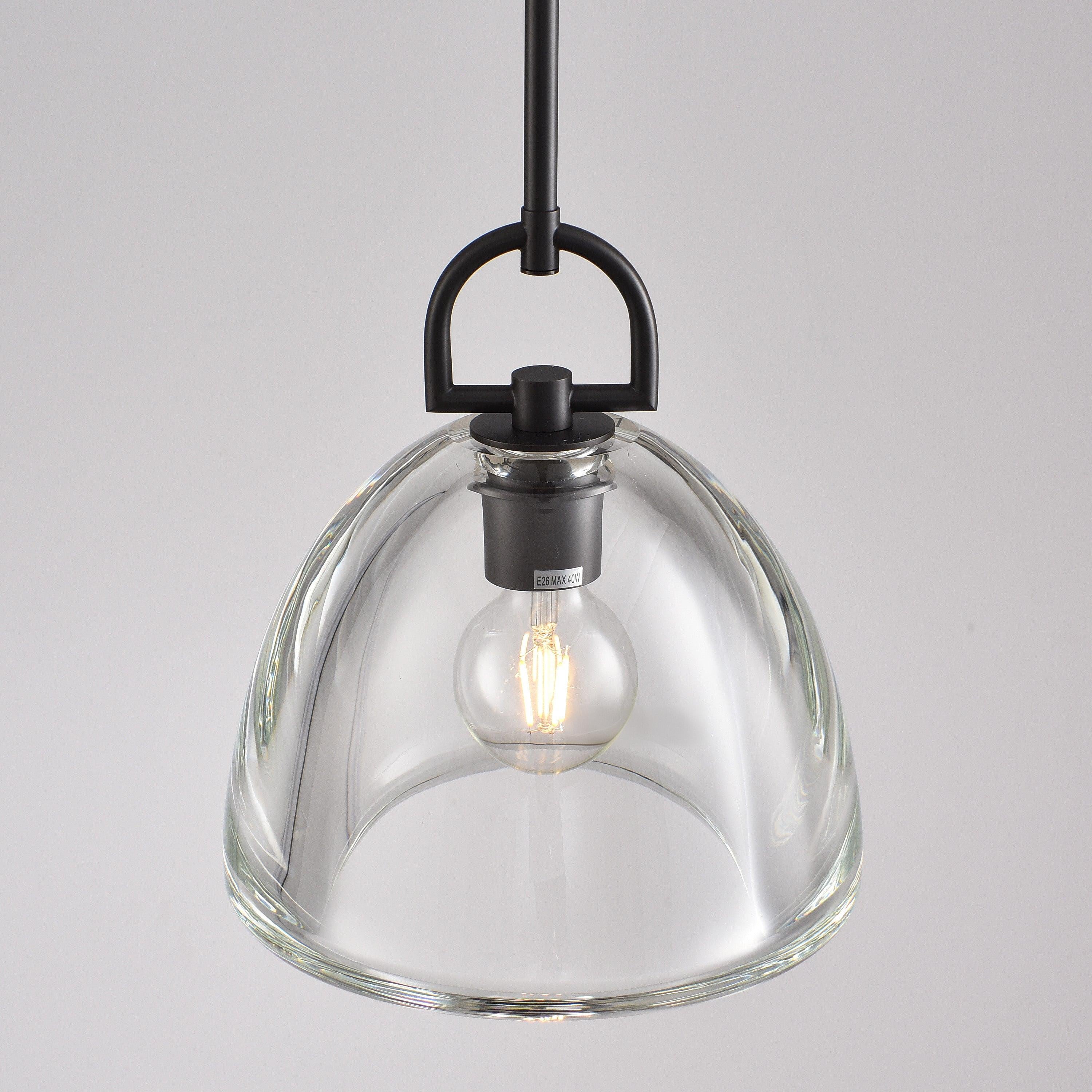 11 Inch Dome Crystal Globe Bulb Pendant Light - Botanist