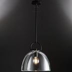 14 Inch Dome Crystal Globe Bulb Pendant Light - Botanist