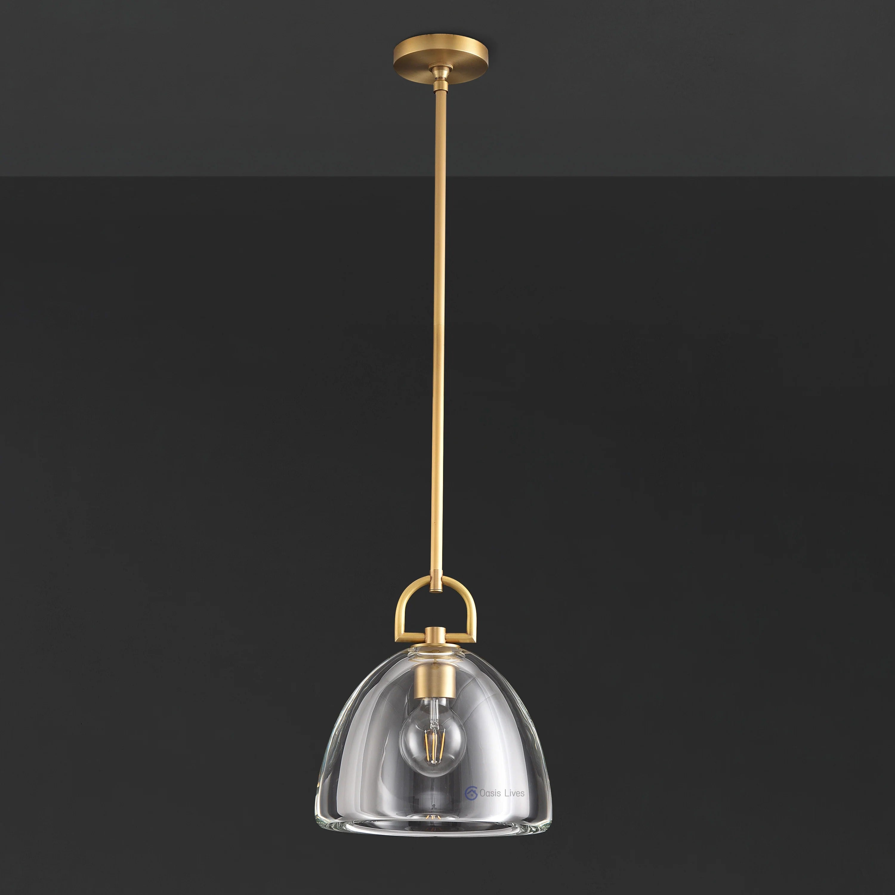 11 Inch Dome Crystal Globe Bulb Pendant Light - Botanist