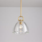 11 Inch Dome Crystal Globe Bulb Pendant Light - Botanist