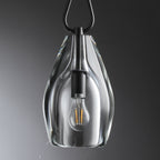 8 Inch Flute Crystal Globe Bulb Pendant Light - Botanist