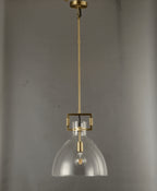 14 Inch Clear Glass Dome Pendant Light - Machinist