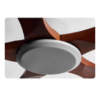 60 Inch Five Walnut Blade Quiet Ceiling Fan - Timberline